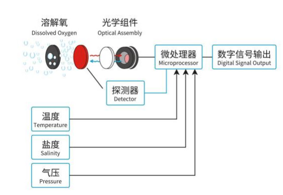 在線(xiàn)熒光法溶氧傳感器